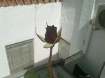 040420111313.jpg