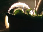 IMG020.JPG