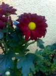 09-05-07_2054.jpg