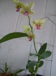 Imagen 032.jpg