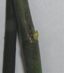 brote 01.jpg