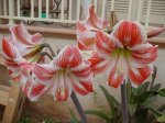 DSC03497_p.JPG