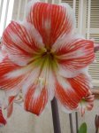 DSC03498_p.JPG