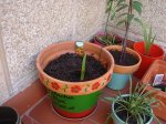 DSC00346.jpg