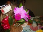 picture015fs9.jpg