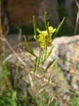 DSCN1689.JPG