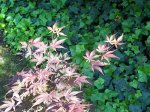 100_1404.jpg