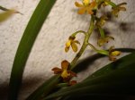 DSC01415.jpg