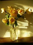 Rosas amar. en botella..jpg