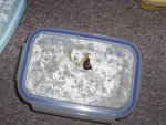 Imagen 045.jpg