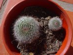 DSC04551.jpg