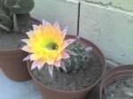 16-05-07_0617.jpg