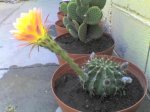 16-05-07_0805.jpg
