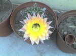 16-05-07_0618.jpg