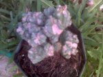16-05-07_1637.jpg