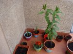 DSC00375.jpg