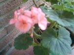 IMAG0080.jpg