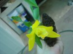 DSC01843.JPG