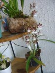 DSC01850.JPG