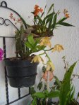 DSC01852.JPG