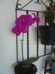 DSC01853.JPG