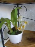 DSC01854.JPG