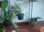 DSC01860.JPG