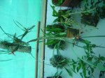 DSC01866.JPG