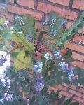 Imagen010.jpg