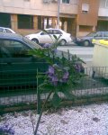 Imagen011.jpg
