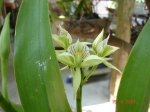 DSC04891.jpg