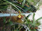 DSC04922.jpg