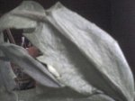 foto2.JPG