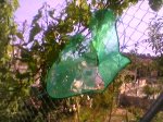 Photo-0011.jpg