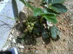 Photo-0013.jpg