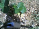 Photo-0014.jpg
