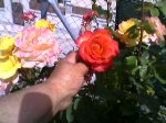 Photo-0018.jpg
