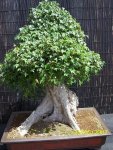 100_2030.jpg