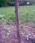 Imagen031.jpg