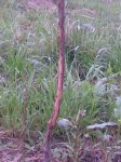 Imagen034.jpg