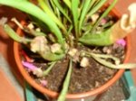 DSC06244.jpg