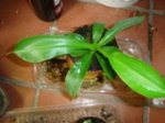 DSC06247.jpg