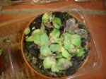 DSC06250.jpg