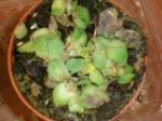DSC06255.jpg