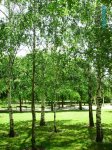 20May07 016.jpg