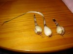 DSC00477.jpg
