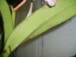 Imagen 004.jpg