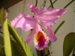 Imagen 017.jpg