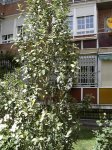 DSC03305.jpg