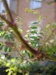 DSC03283.jpg